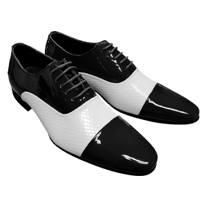Schoenen